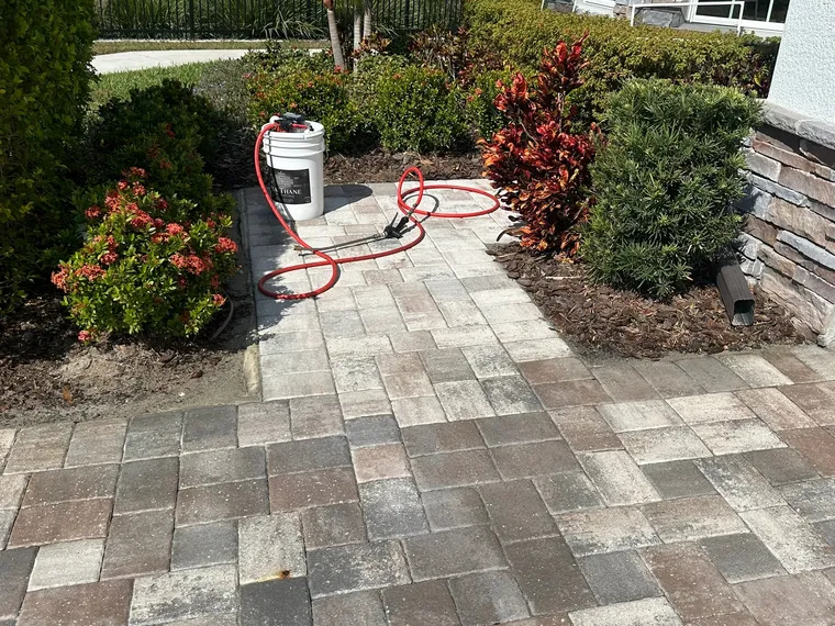 Sealer sprayer and hose set up on a paver walkway mid-job, with the sealed section visibly darker than the untreated section